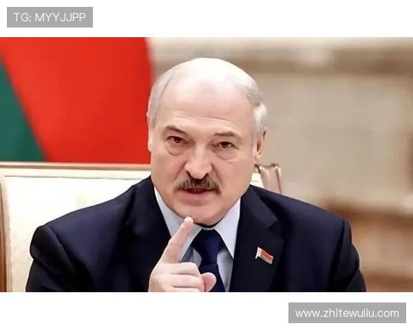 上普京官网：普京总统的历史背景与俄罗斯政治体制介绍