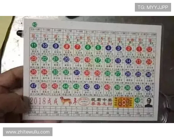 六合彩体育投注平台推荐及安全保障措施确保用户资金安全与体验优化