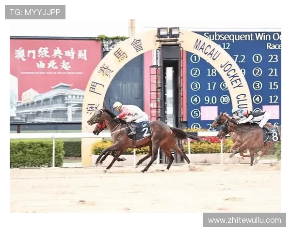 关注澳门赛马最新消息,掌握赛马场最新比赛结果与精彩瞬间