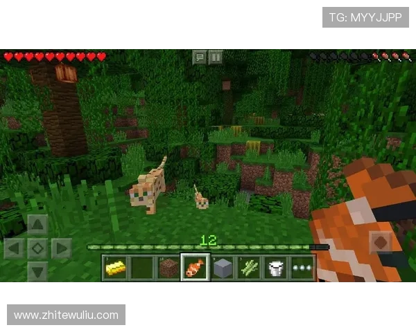 探索88娛樂网页版丰富的游戏种类让你轻松享受高品质线上娱乐体验