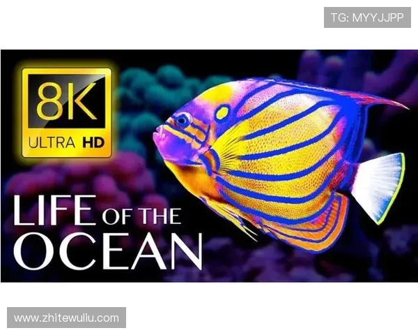 海洋之神正规网址查询指南，帮助玩家快速找到官方安全登录入口与游戏攻略