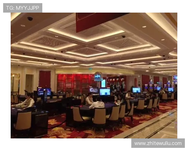 澳门百利宫国际赌场娱乐体验全攻略，助你轻松掌握最新优惠与玩法技巧
