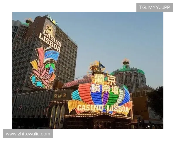 澳门的赌场有几家：全面解析澳门主要赌场的数量及其规模特点