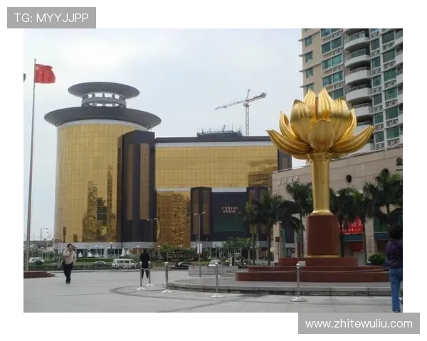 澳门金龙娱乐场所全面介绍:最值得体验的娱乐项目与服务指南