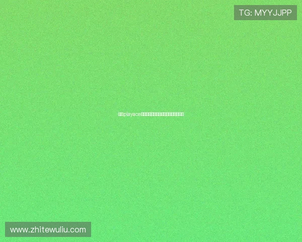 利用playace视讯优化企业内部培训与远程会议效率